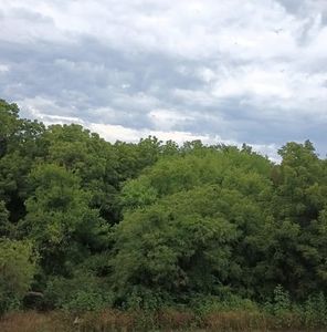 Meet your Posher, Hereford